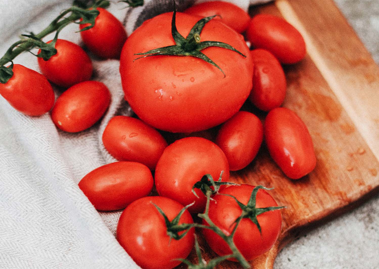 Top Different Ways to Prepare Tomatoes