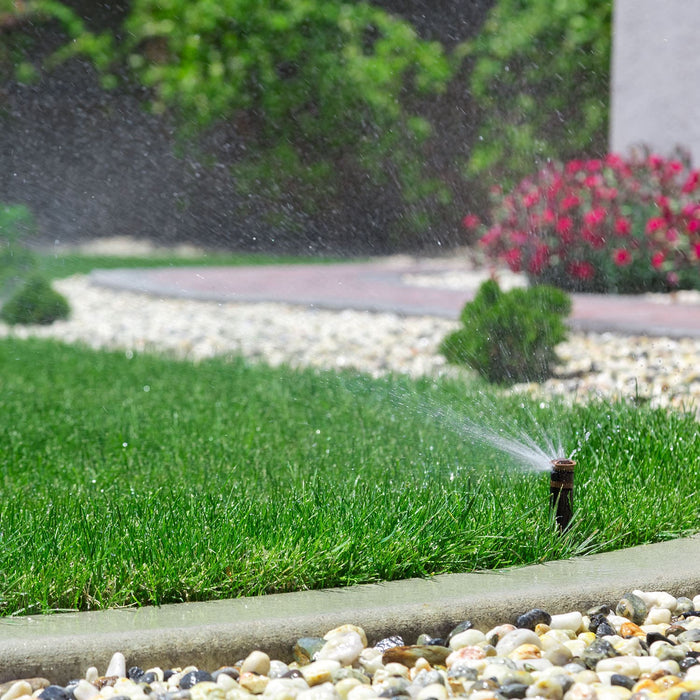 Sprinkler Watering A Southern California Lawn & Garden