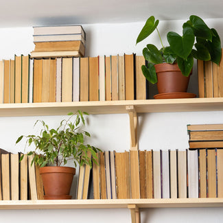 Plants In Decorative Indoor Planters Among Books On Two Shelves