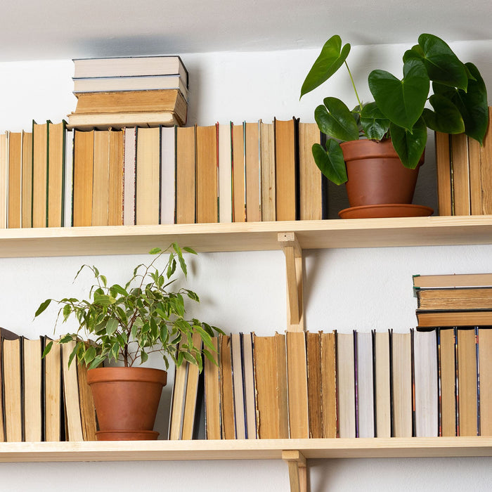 Plants In Decorative Indoor Planters Among Books On Two Shelves