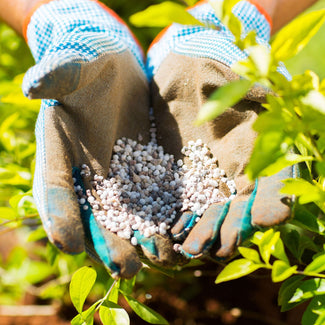 Gloved Hands Holding Fertilizer At Outdoor Plant Nursery