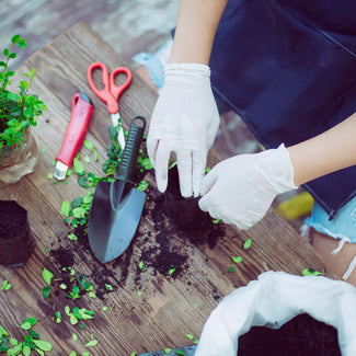 Someone Preparing Cuttings For Southern California Landscaping