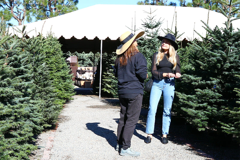 Choosing the Perfect Christmas Tree: A Festive Guide
