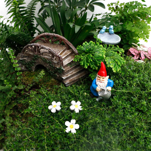 Fairy Homes Gardens Miniature Gardens Roger S Gardens