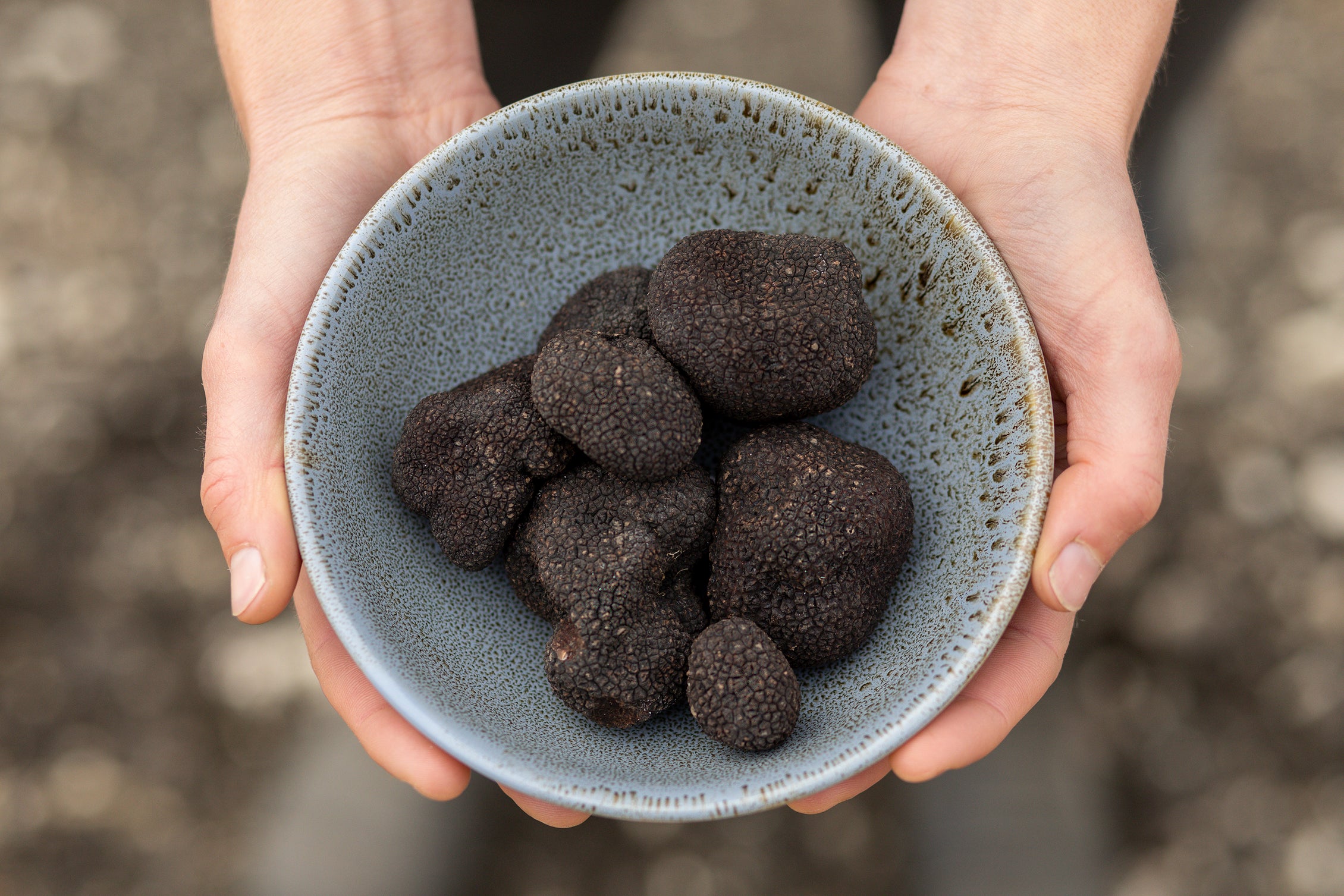 Fresh Truffle for Sale, Kings Truffles, North Canterbury NZ