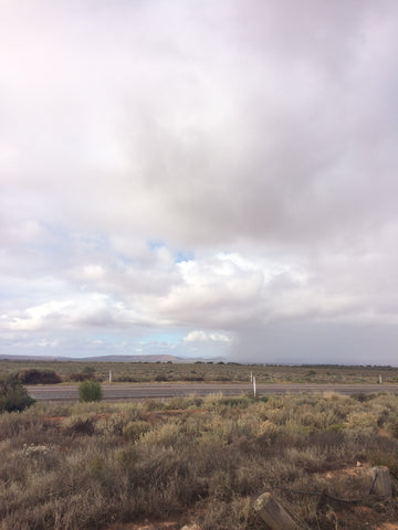 kimberley opal road trip