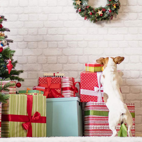 Navidad en Hundshop