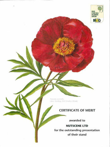 Certificate of Merit - 2010