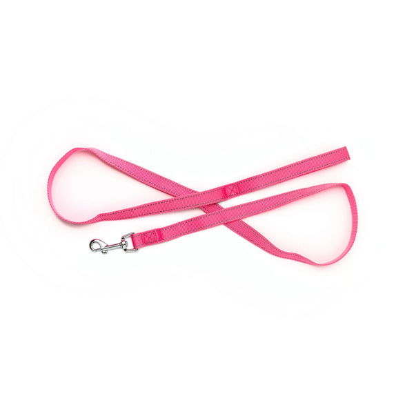 Bark Appeal 1 in Reflective Dog Leash