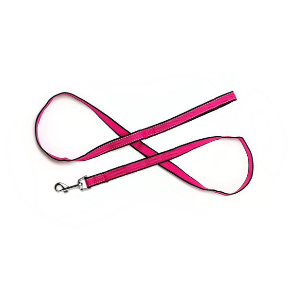 Bark Appeal 3/8 in Reflective Dog Leash