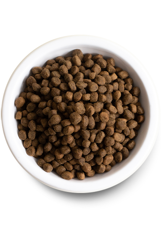 Open Farm Grass-Fed Beef Grain-Free Dry Dog Food