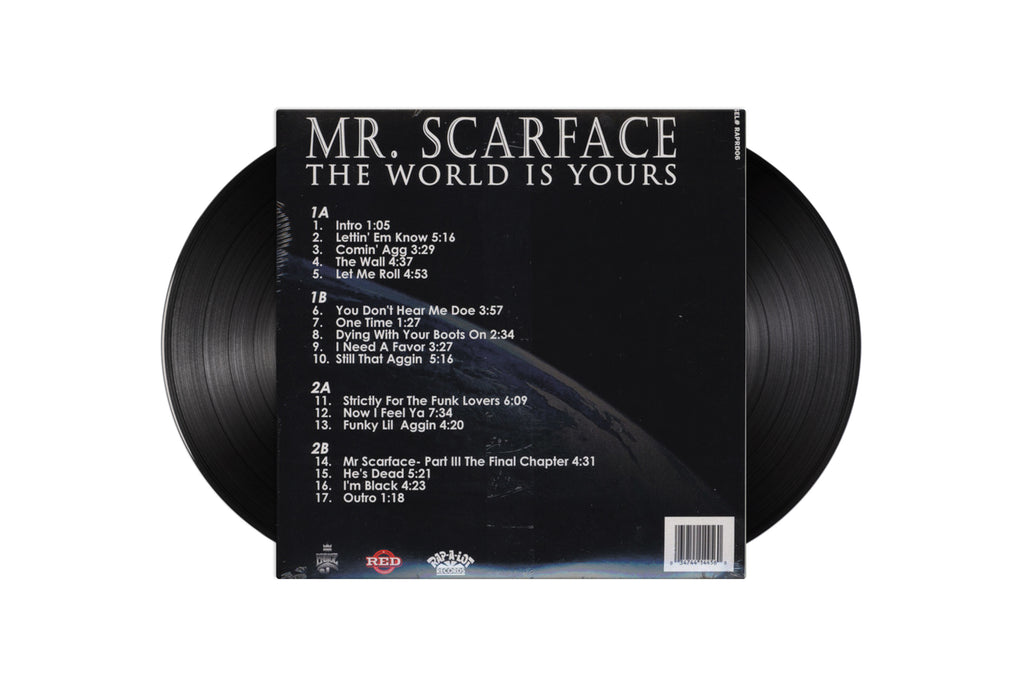 mr scarface the world is yours