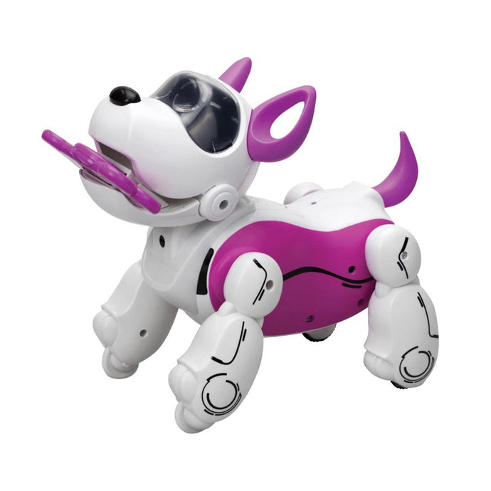 chien robot pupbo
