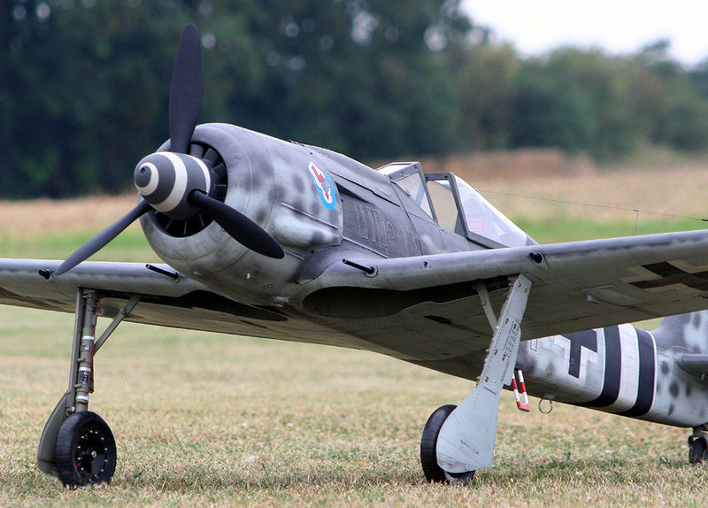 rc fw 190