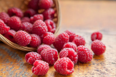 raspberry seed oil