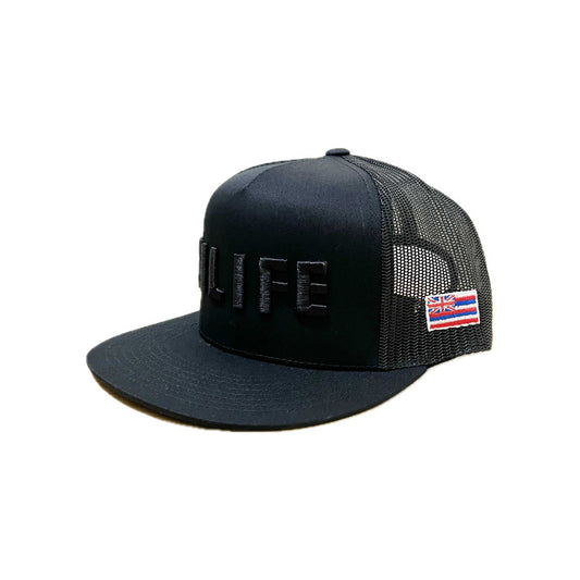 HILIFE 3D logo Snapback hats Black – HiLife Store