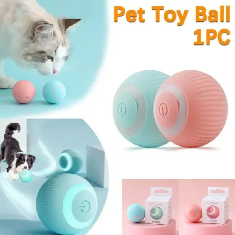 Self-propelled Kitten Toy