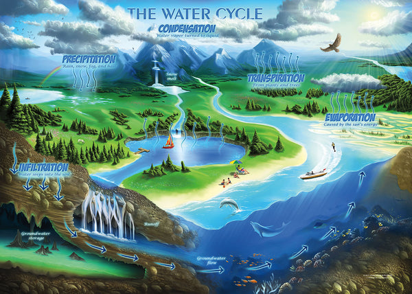 The Water Cycle Jigsaw Puzzle - Middle School Educational Activities