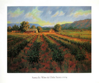 New Mexico Vineyard