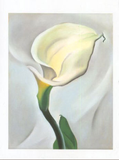 Calla Lily Turned Away, 1923