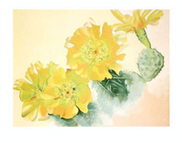 Yellow Cactus, 1940