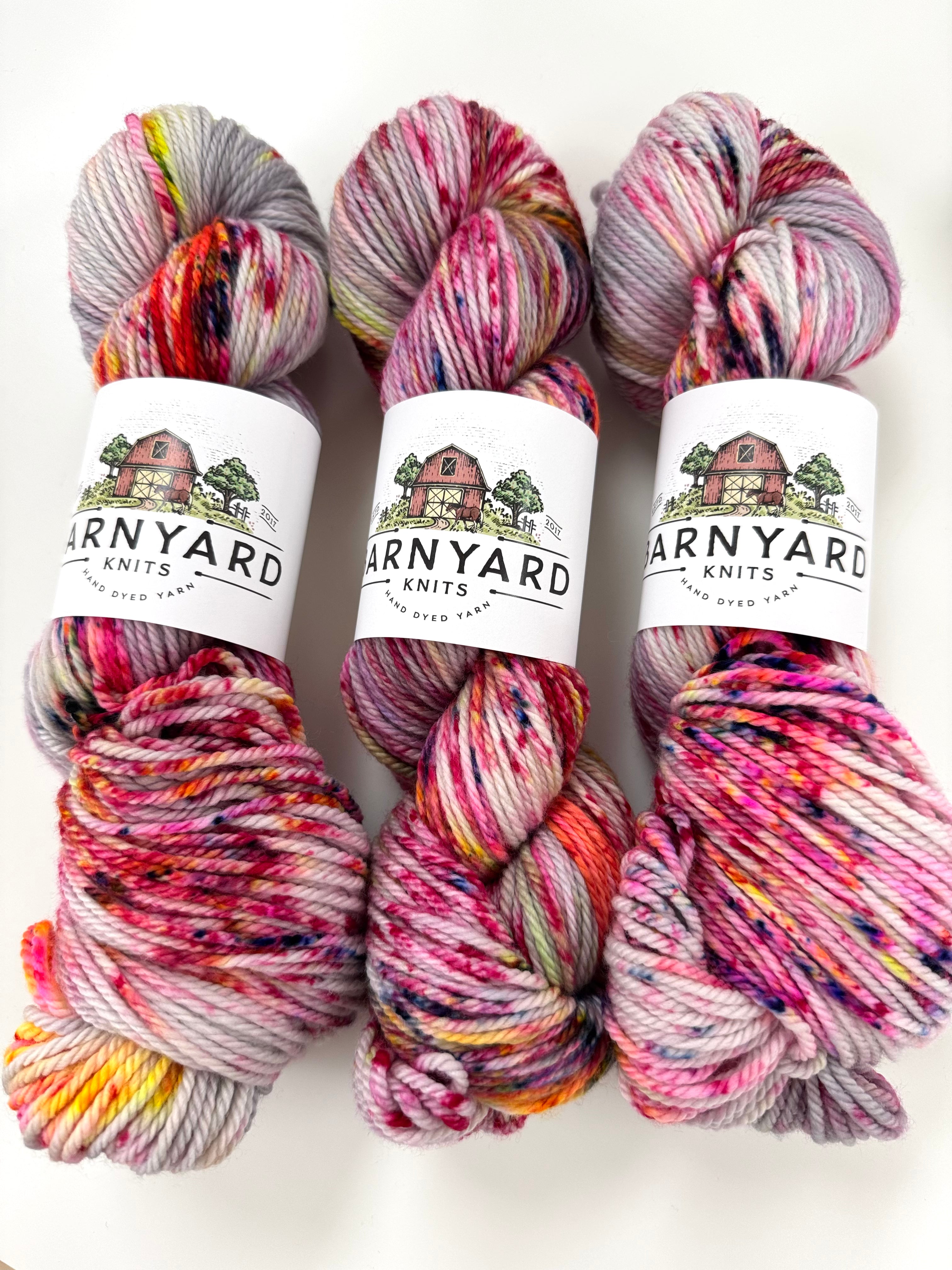 SKATING IN CENTRAL PARK ARAN