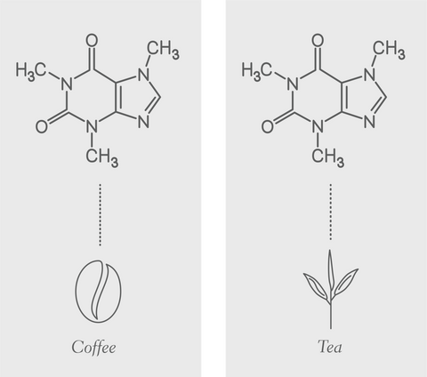 caffeine, theine, tea, coffee, chemistry