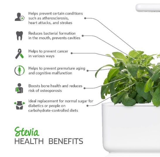 graphic showing health benefits of stevia