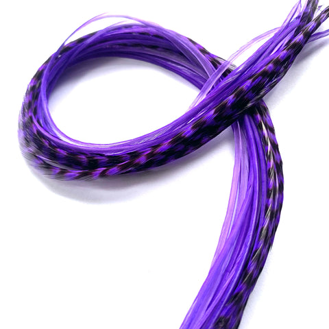 Purple Hair Feathers