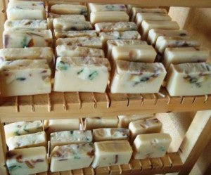 Patchouli-Sandalwood soaps curing - Penny Lane Organics