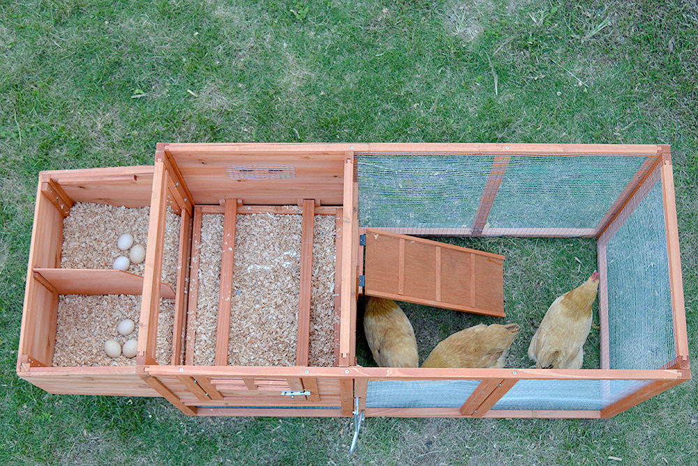 Diy chicken coops plans free Rebuilding Oulu history