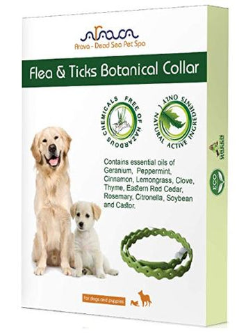 BEST FLEA COLLAR