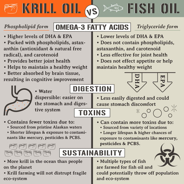 Benefits of Using Krill Oil As An Omega 