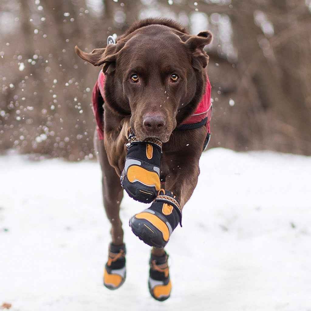 gun dog boots