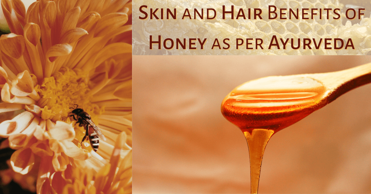 Honey Uses and Benefits for Hair Growth in Hindi बल क लए शहद क  फयद इसतमल और सवधनय  Onlymyhealth