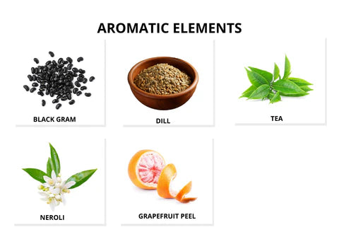 AROMATIC-ELEMENTS1teagarden_480x480.webp__PID:f764e0f5-cc7e-45a4-8796-842c941b9c6f