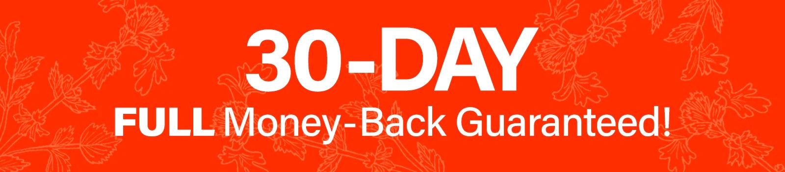 30-Day Money Back Guarantee