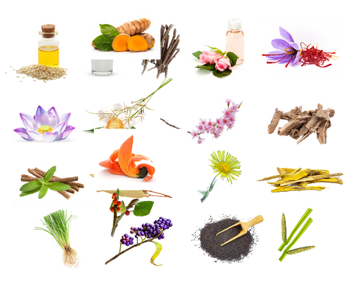 Full list of ingredients images - Kesaradi Oil