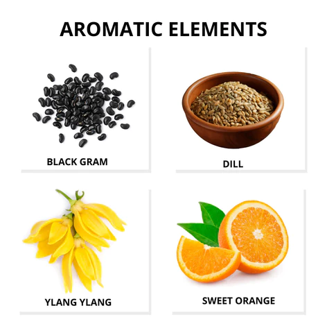 Black Gram | Dill | Ylang-Ylang | Orange