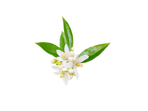 Neroli