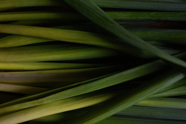 Lemongrass in Ayurveda