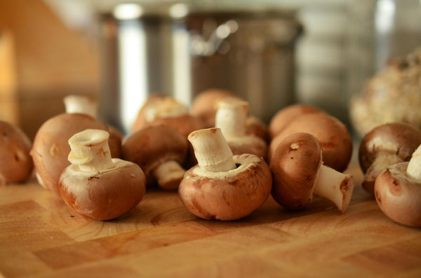 Mushrooms are a powerful source of antioxidants