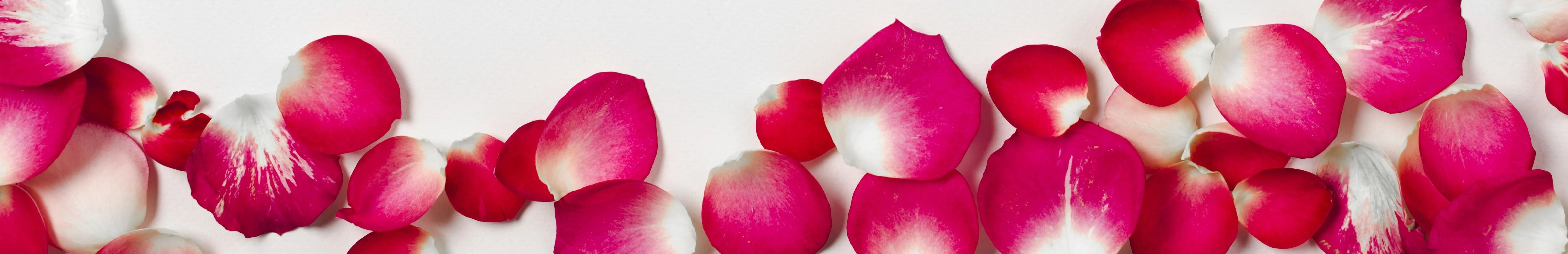 pretty-rose-petals_1.webp__PID:c2e1c434-9b6b-47b2-a8fa-1115531cdc16