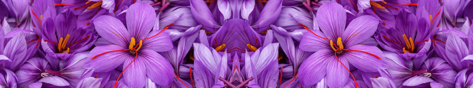 saffron_24b6ef24-c38b-461e-a4b1-ea037eafa9d1.webp__PID:a96de26a-b4fa-49d6-933c-190c6a762330