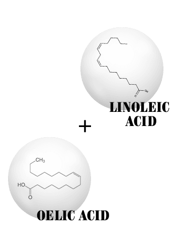 linolec acid + oleic acid 