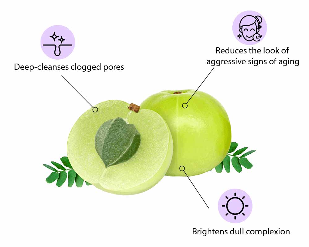 Benefits of Amla 1 deep cleanses clogged pores 2 reduce the look of aggressive signs of aging 3 brightens dull complexion