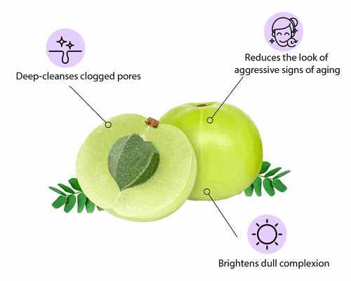 Benefits of Amla 1 deep cleanses clogged pores 2 reduce the look of aggressive signs of aging 3 brightens dull complexion