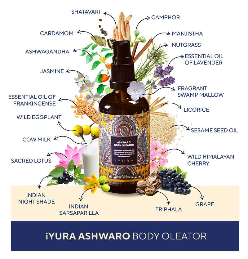 ASHWARO BODY BRIGHTENING OLEATOR