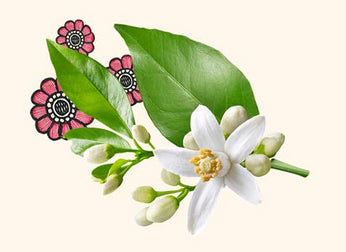 neroli