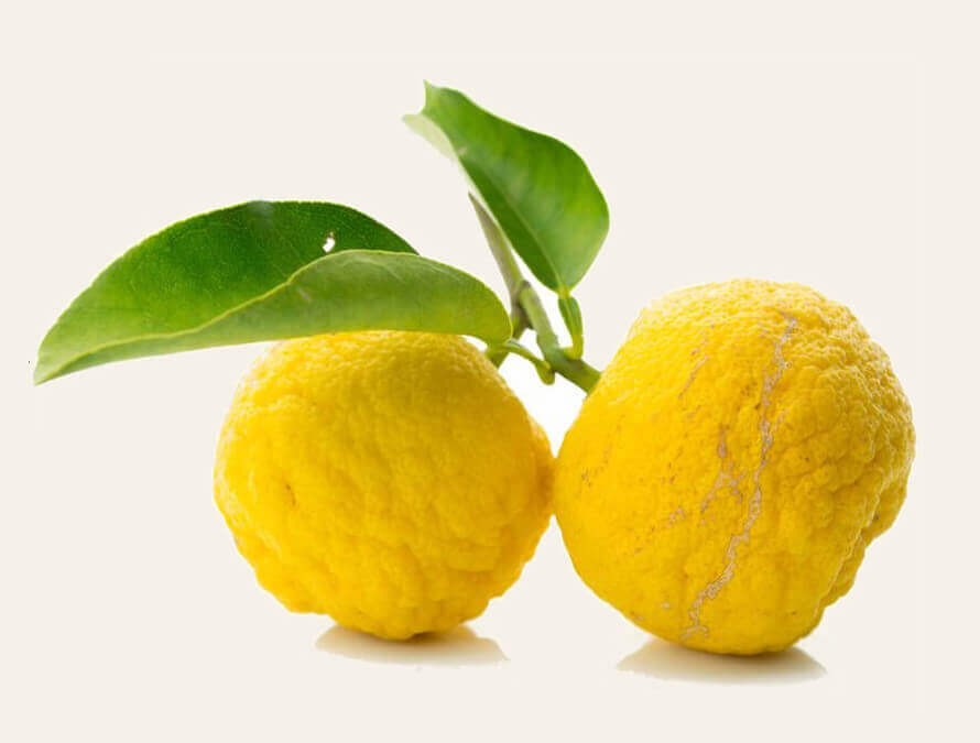 Lemon or Jambheer